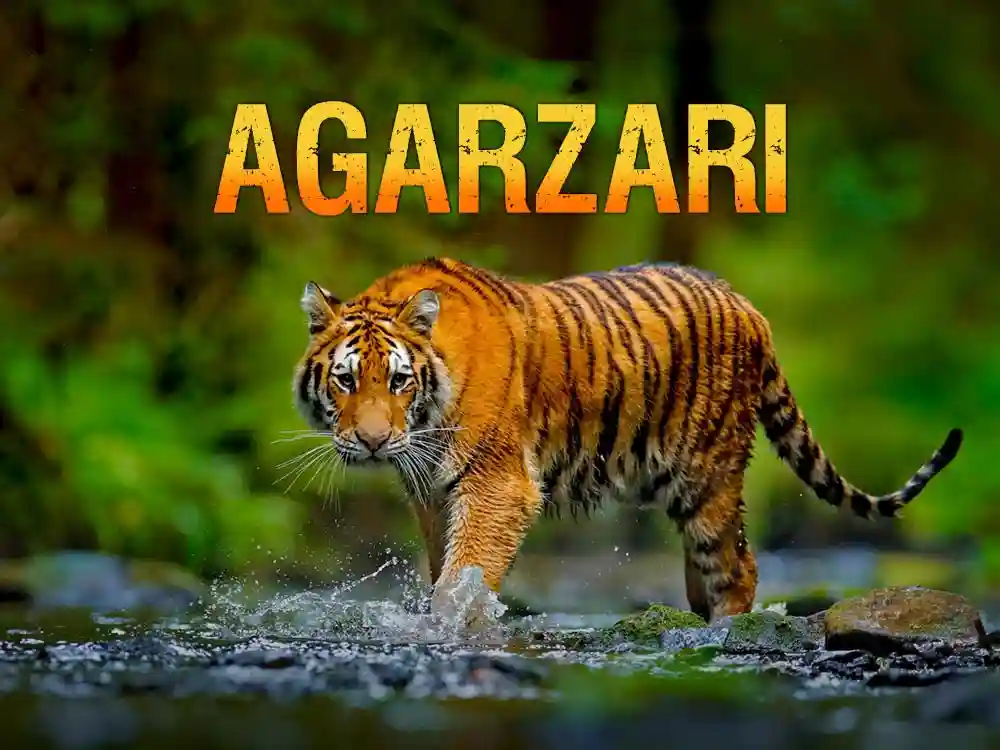 Agarzari