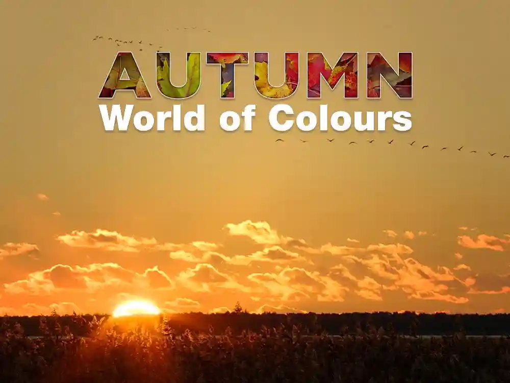 Autumn World of Colours