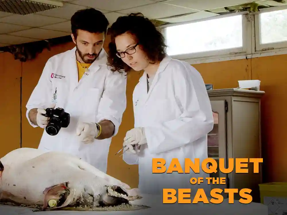 Banquet of the Beasts