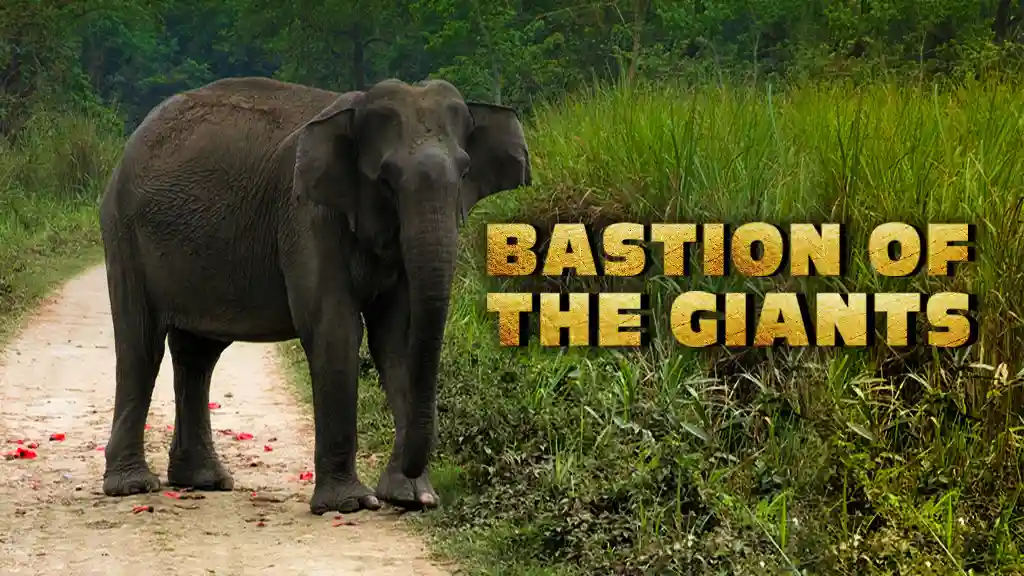 Bastion of the Giants