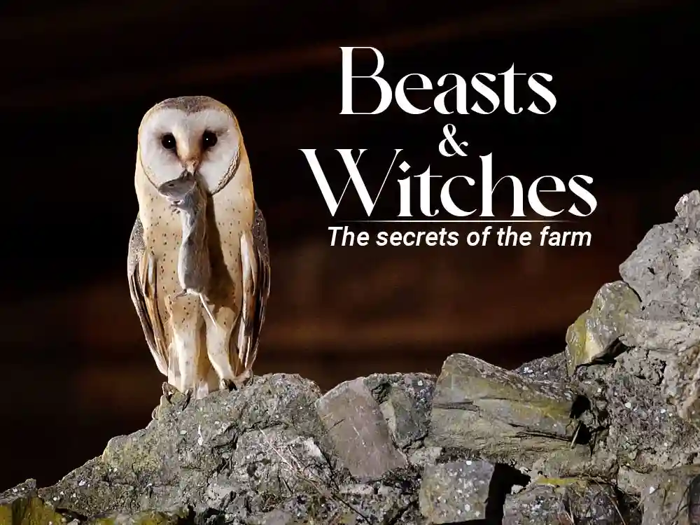 Beasts Witches the Secrets of the Farm