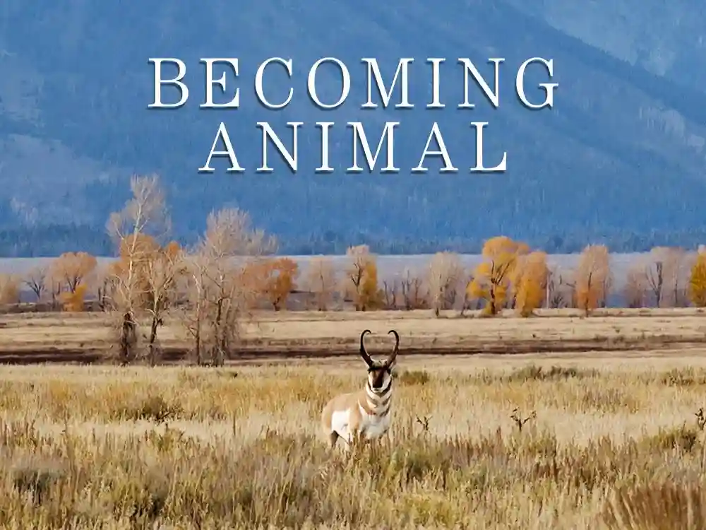 Becoming Animal