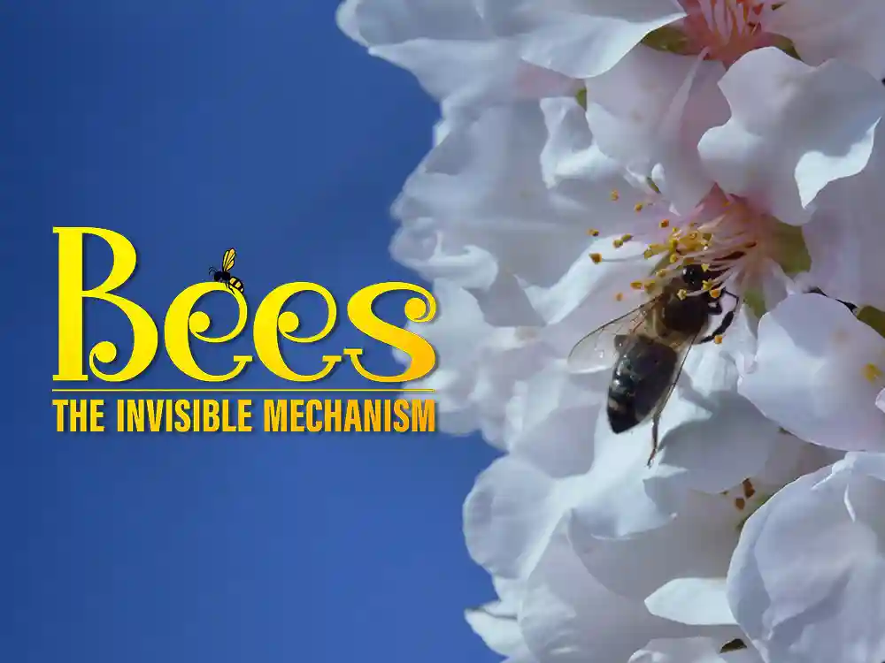 Bees the Invisible Mechanism