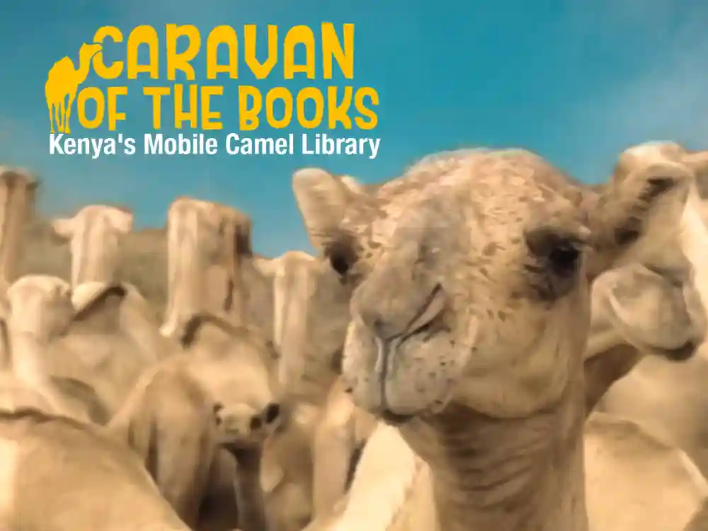 Caravan of the Books Kenya s Mobile Camel Library